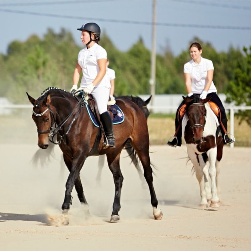 занятия верховой ездой. кск измайлово территория. ольденбургская порода лошадей конкур. берейтор верховая езда. где можно заниматься конным спортом.